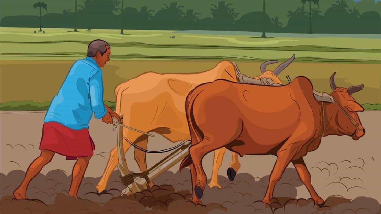 National Farmers Day 2025: ರೈತನೇ ದೇಶದ ಬೆನ್ನೆಲುಬು, ಜಗದ ಹಸಿವು ನೀಗಿಸುವ ಅನ್ನದಾತನಿಗೊಂದು ನಮನ