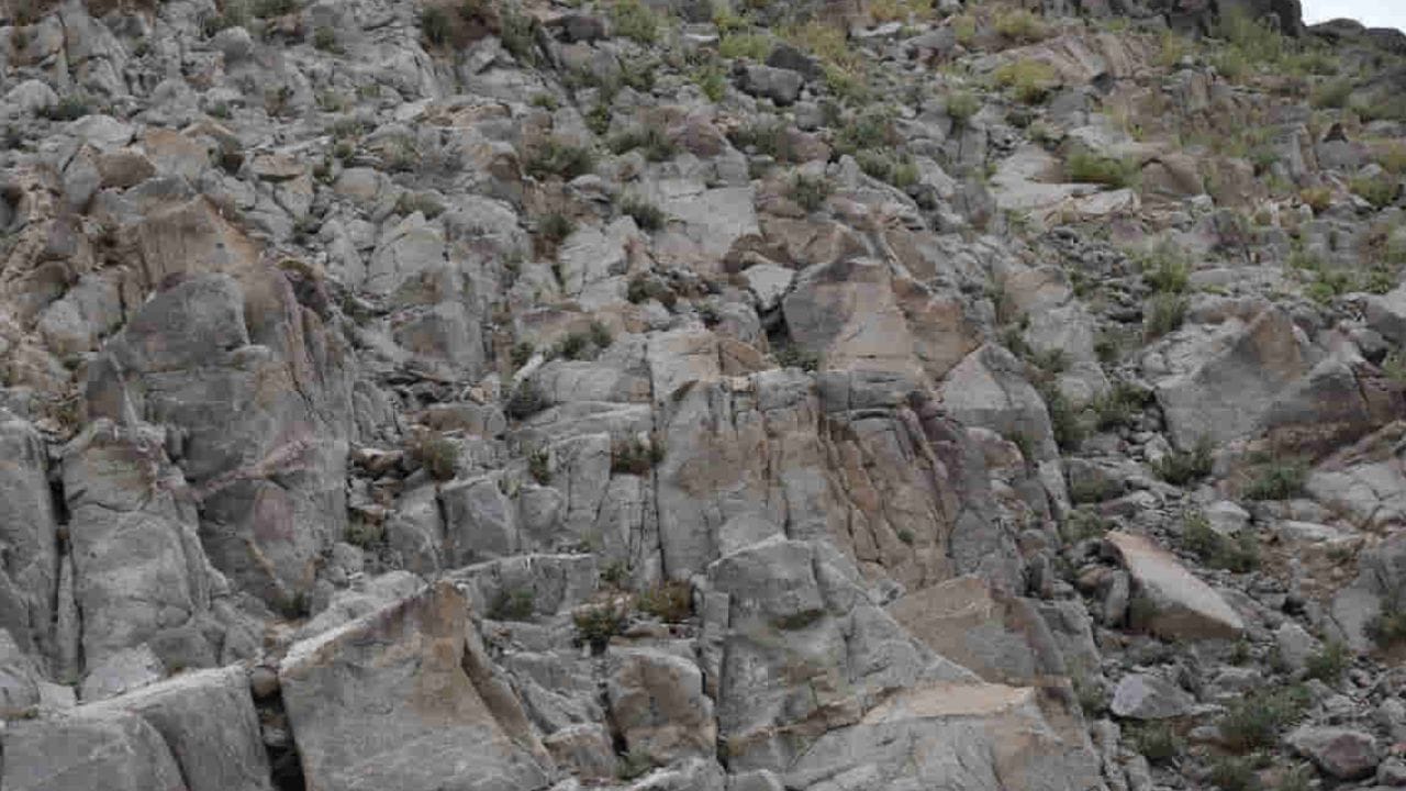 Optical Illusion: ಬಂಡೆಗಳಿಂದ ಆವೃತ್ತವಾದ ಈ ಬೆಟ್ಟದಲ್ಲಿ ಅಡಗಿ ಕುಳಿತಿರುವ ಕುರಿಯನ್ನು ಹುಡುಕಬಲ್ಲಿರಾ