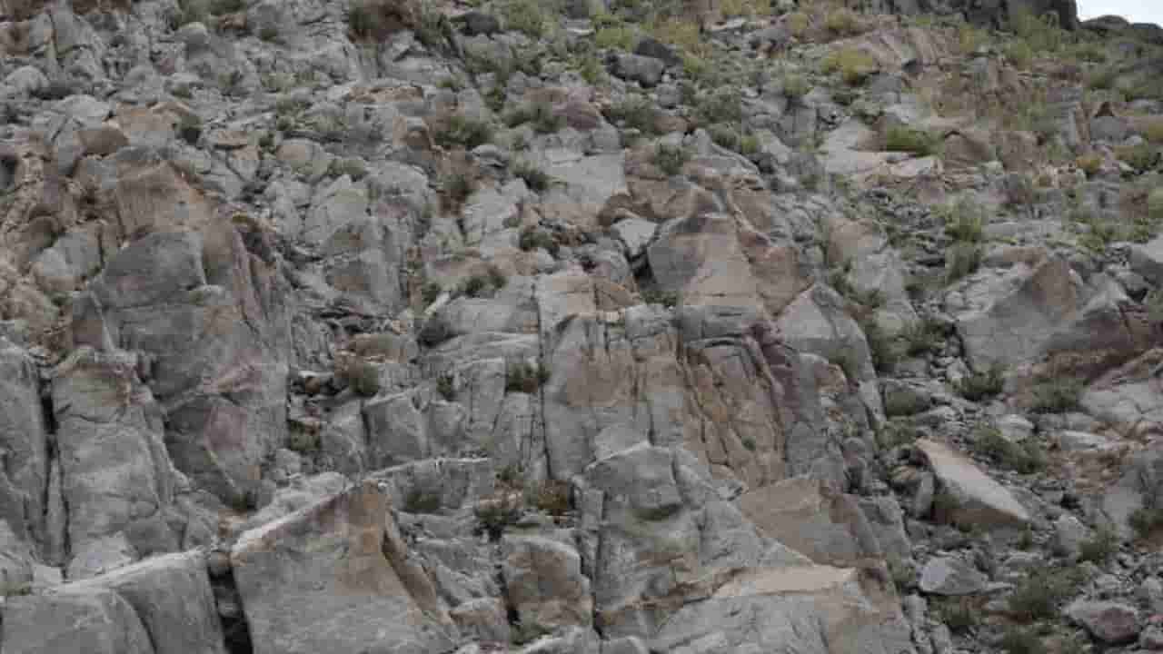 Optical Illusion: ಬಂಡೆಗಳಿಂದ ಆವೃತ್ತವಾದ ಈ ಬೆಟ್ಟದಲ್ಲಿ ಅಡಗಿ ಕುಳಿತಿರುವ ಕುರಿಯನ್ನು ಹುಡುಕಬಲ್ಲಿರಾ