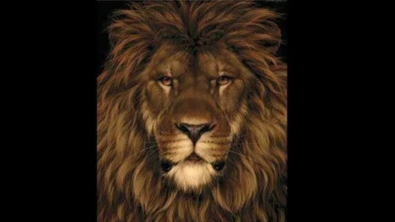 Optical Illusion: ಈ ಚಿತ್ರದಲ್ಲಿ ಅವಿತು ಕುಳಿತಿರುವ ಇಲಿಯನ್ನು 5 ಸೆಕೆಂಡುಗಳಲ್ಲಿ ಕಂಡುಹಿಡಿಯುವಿರಾ Optical Illusion: ಈ ಚಿತ್ರದಲ್ಲಿ ಅವಿತು ಕುಳಿತಿರುವ ಇಲಿಯನ್ನು 5 ಸೆಕೆಂಡುಗಳಲ್ಲಿ ಕಂಡುಹಿಡಿಯುವಿರಾ