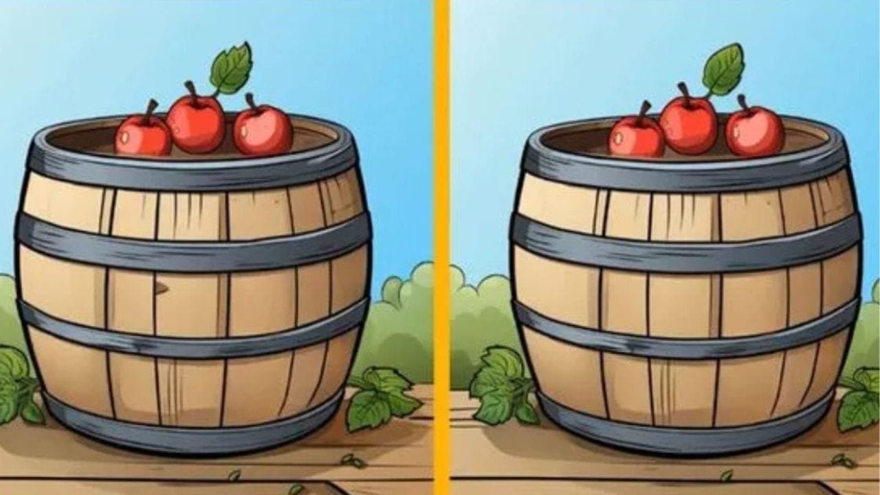 Optical Illusion: ಜಸ್ಟ್ 13 ಸೆಕೆಂಡುಗಳಲ್ಲಿ ಒಂದೇ ರೀತಿ ಕಾಣುವ ಈ ಎರಡು ಚಿತ್ರದಲ್ಲಿನ 3 ವ್ಯತ್ಯಾಸಗಳನ್ನು ಗುರುತಿಸಿ Optical Illusion: ಜಸ್ಟ್ 13 ಸೆಕೆಂಡುಗಳಲ್ಲಿ ಒಂದೇ ರೀತಿ ಕಾಣುವ ಈ ಎರಡು ಚಿತ್ರದಲ್ಲಿನ 3 ವ್ಯತ್ಯಾಸಗಳನ್ನು ಗುರುತಿಸಿ