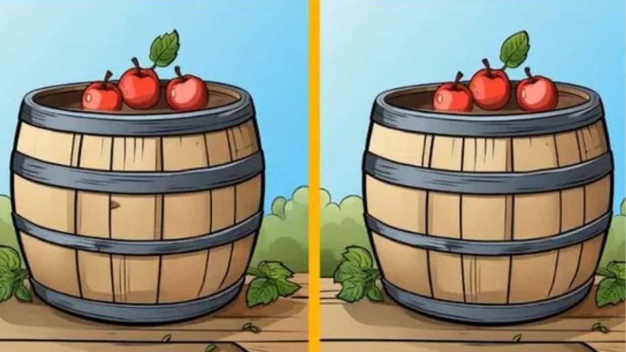 Optical Illusion: ಜಸ್ಟ್ 13 ಸೆಕೆಂಡುಗಳಲ್ಲಿ ಒಂದೇ ರೀತಿ ಕಾಣುವ ಈ ಎರಡು ಚಿತ್ರದಲ್ಲಿನ 3 ವ್ಯತ್ಯಾಸಗಳನ್ನು ಗುರುತಿಸಿ Optical Illusion: ಜಸ್ಟ್ 13 ಸೆಕೆಂಡುಗಳಲ್ಲಿ ಒಂದೇ ರೀತಿ ಕಾಣುವ ಈ ಎರಡು ಚಿತ್ರದಲ್ಲಿನ 3 ವ್ಯತ್ಯಾಸಗಳನ್ನು ಗುರುತಿಸಿ