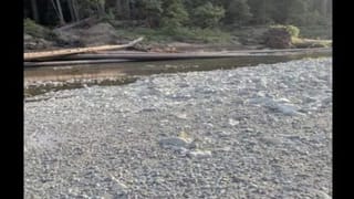 Video: ಕರುವಿನೊಂದಿಗೆ ವಾಕಿಂಗ್ ಹೊರಟ ಯುವಕ, ವೈರಲ್ ಆಯ್ತು ದೃಶ್ಯ