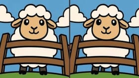 ಈ ಎರಡು ಚಿತ್ರಗಳ ನಡುವಿನ ವ್ಯತ್ಯಾಸಗಳನ್ನು ಕಂಡುಹಿಡಿಯುವಿರಾ