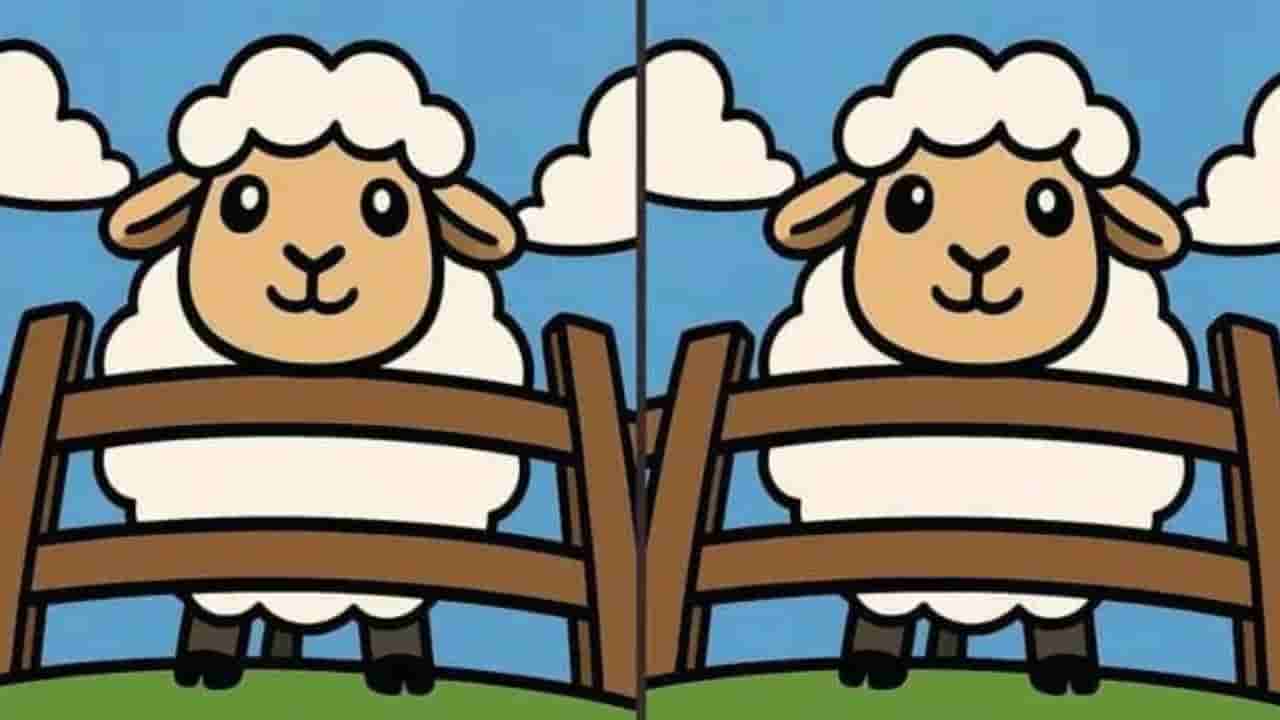 Optical Illusion: ನಿಮ್ಮ ಕಣ್ಣಿಗೊಂದು ಸವಾಲ್; ಈ ಎರಡು ಚಿತ್ರಗಳ ನಡುವಿನ ವ್ಯತ್ಯಾಸಗಳನ್ನು ಕಂಡುಹಿಡಿಯುವಿರಾ