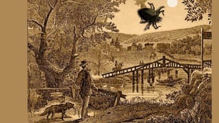 Video: ಬೆಂಗಳೂರಿನ ವಿಮಾನ ನಿಲ್ದಾಣದ ಸೌಂದರ್ಯಕ್ಕೆ ಫಿದಾ ಆದ ಡಚ್ ಮಹಿಳೆ