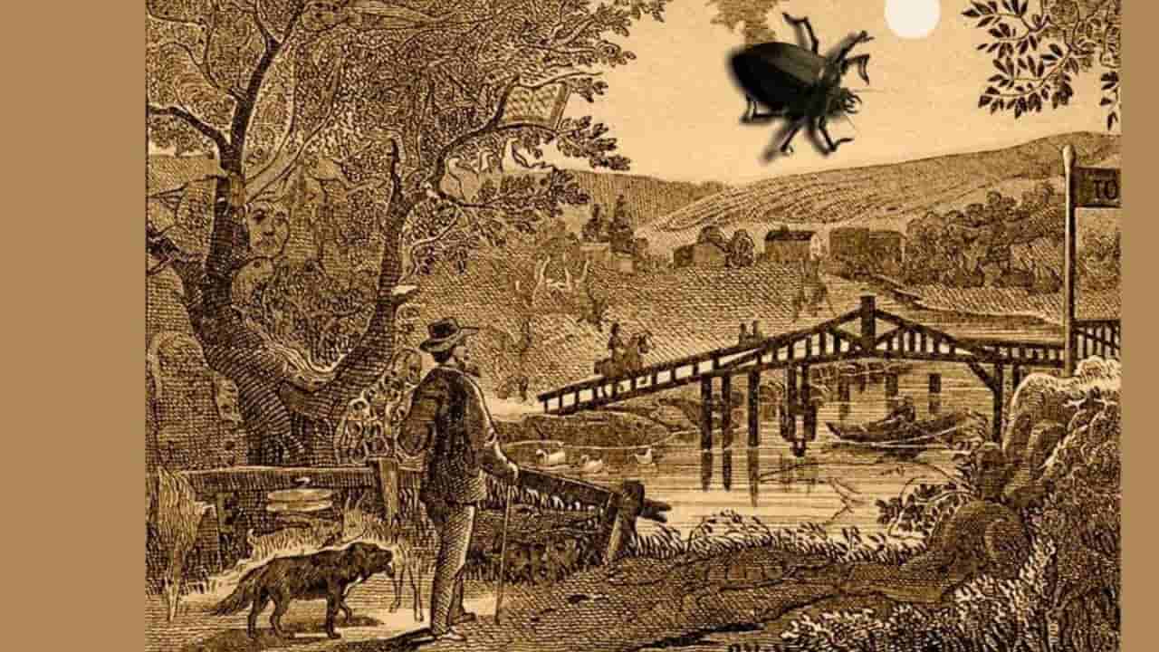 Optical Illusion: ಈ ಚಿತ್ರದಲ್ಲಿ ಅಡಗಿರುವ ಮೀನನ್ನು ಹುಡುಕಿದ್ರೆ ನೀವು ಬುದ್ಧಿವಂತರು