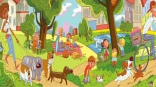 Video: ಬೆನ್ನು ತಟ್ಟಿ ಕಂದಮ್ಮನನ್ನು ಮಲಗಿಸಿದ ತಾಯಿ ಗೊರಿಲ್ಲಾ