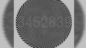 ಈ ವೃತ್ತಾಕಾರದ ಚಿತ್ರದಲ್ಲಿರುವ ಸಂಖ್ಯೆಯನ್ನು ಹೇಳಬಲ್ಲಿರಾ