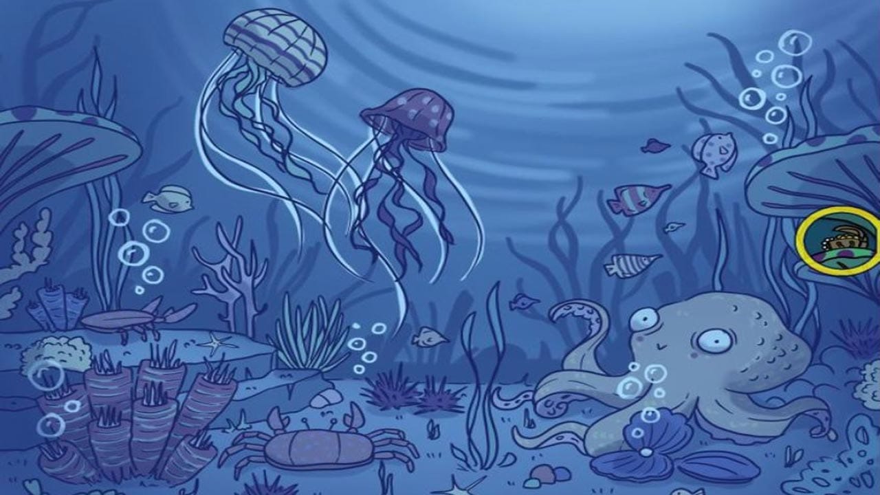 Optical Illusion Answer