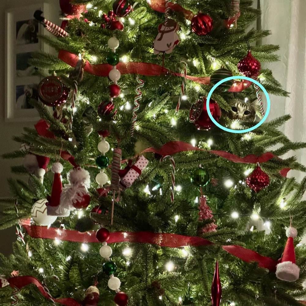 Optical Illusion Answer