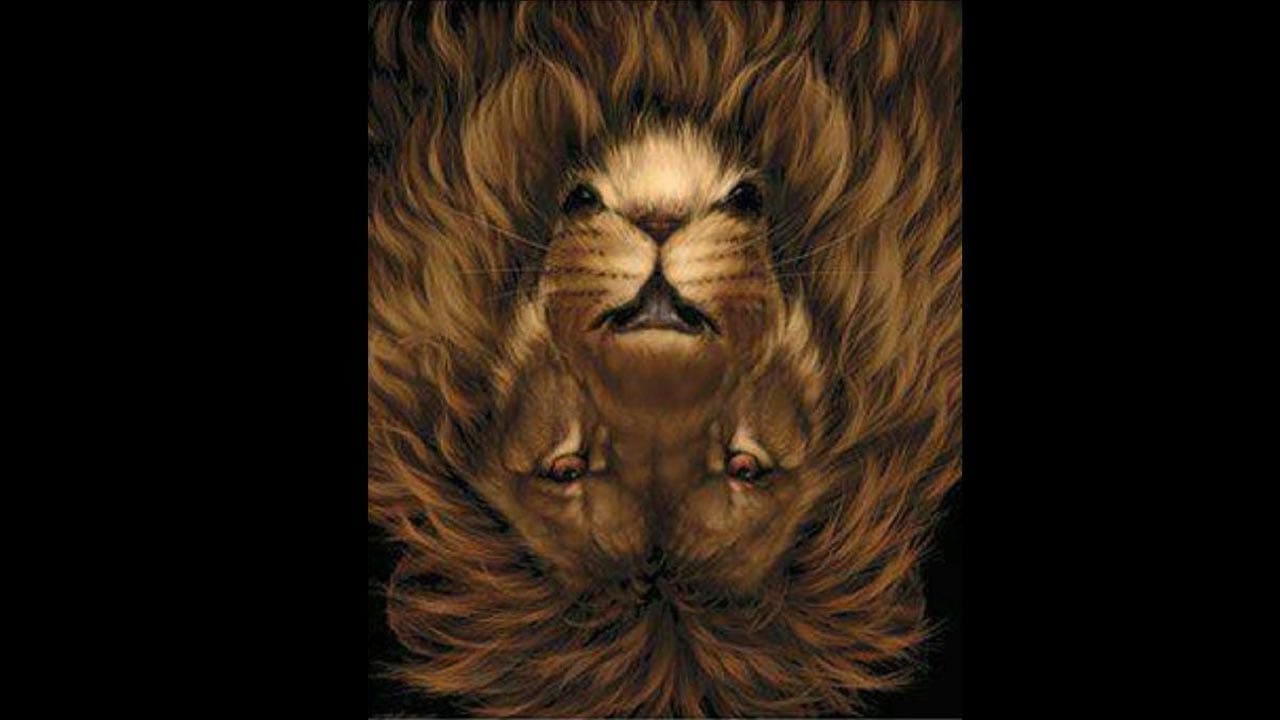 Optical Illusion Answer