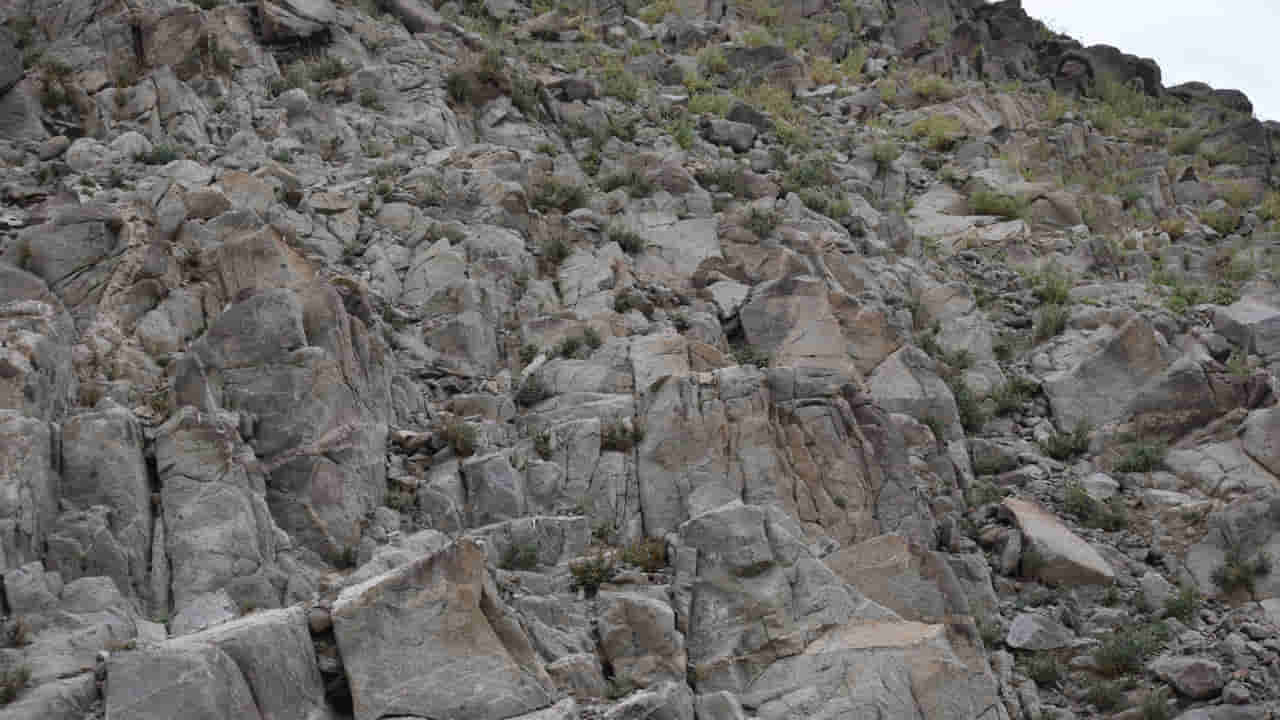 Optical Illusion Photo