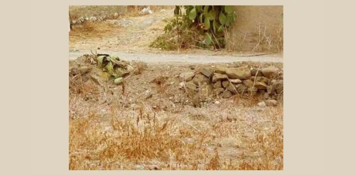 Optical Illusion Photo