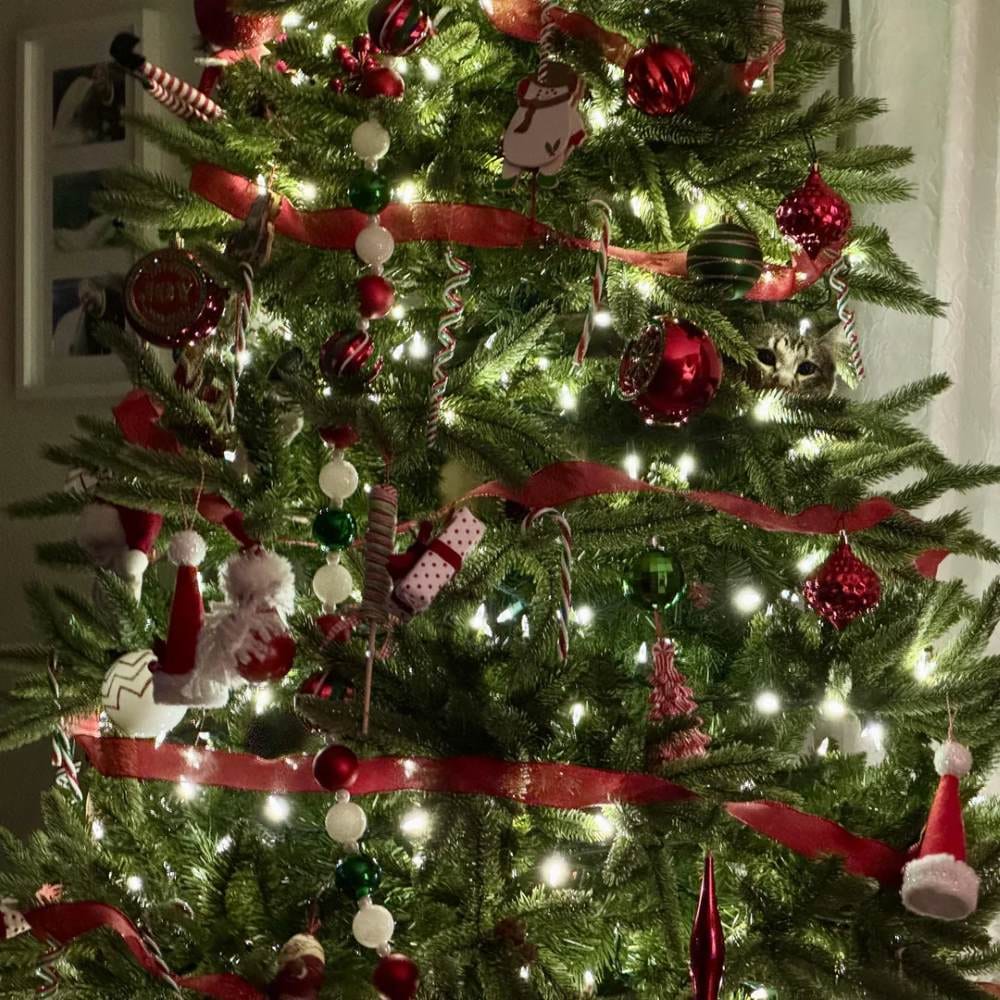 Optical Illusion Photo