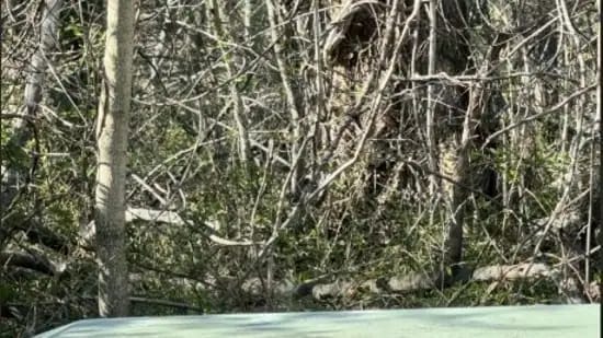 Optical Illusion Photo