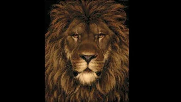 Optical Illusion Photo