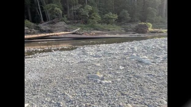 Optical Illusion Photo