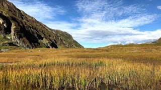 Midday Naps: ಮಧ್ಯಾಹ್ನ ನಿದ್ರಿಸುವುದು ಗ್ರಹ ದೋಷಕ್ಕೆ ಕಾರಣವಾಗುತ್ತದೆಯೇ? ಜ್ಯೋತಿಷ್ಯ ಸಲಹೆ ಇಲ್ಲಿದೆ