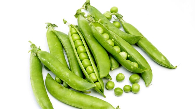 ಚಳಿಗಾಲದಲ್ಲಿ ಹಸಿ ಬಟಾಣಿ ಸೇವನೆ ಮಾಡಿದ್ರೆ ಏನಾಗುತ್ತೆ ನೋಡಿ!