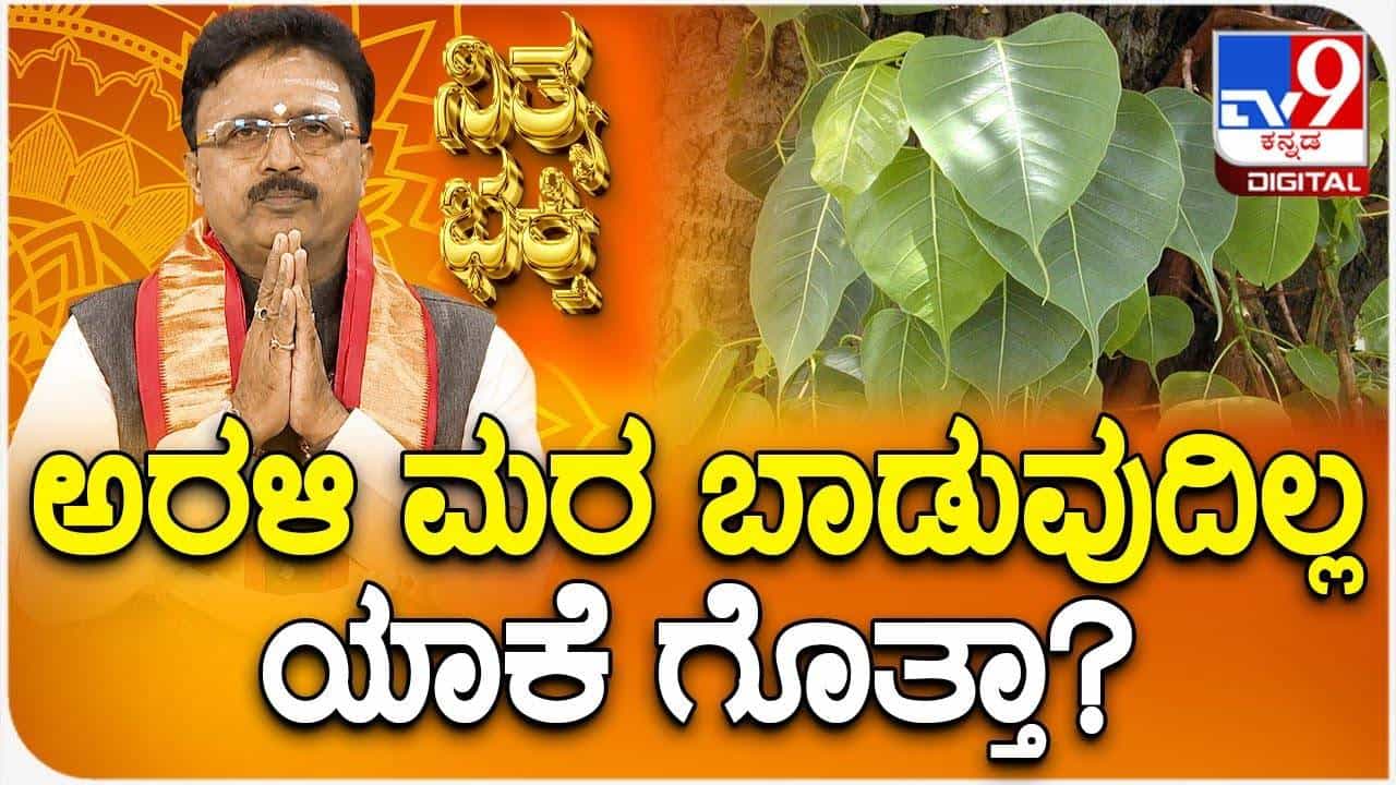 Peepal Tree: ಅರಳಿ ಮರ ಏಕೆ ಬಾಡುವುದಿಲ್ಲ? ಸೀತಾ ದೇವಿಯ ವರದಾನದ ಪೌರಾಣಿಕ ಕಥೆ ಇಲ್ಲಿದೆ