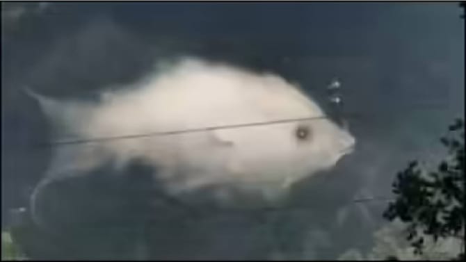 ನೀವು ಭಾವನಾತ್ಮಕವಾಗಿ ಎಷ್ಟು ಸ್ಟ್ರಾಂಗ್‌ ಆಗಿದ್ದೀರಿ?