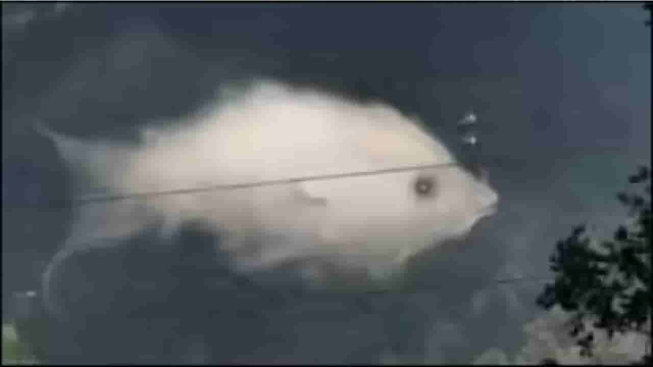 Personality Test: ನೀವು ಭಾವನಾತ್ಮಕವಾಗಿ ಎಷ್ಟು ಸ್ಟ್ರಾಂಗ್‌ ಆಗಿದ್ದೀರಿ ಎಂಬುದನ್ನು ಈ ಚಿತ್ರ ತಿಳಿಸುತ್ತೆ