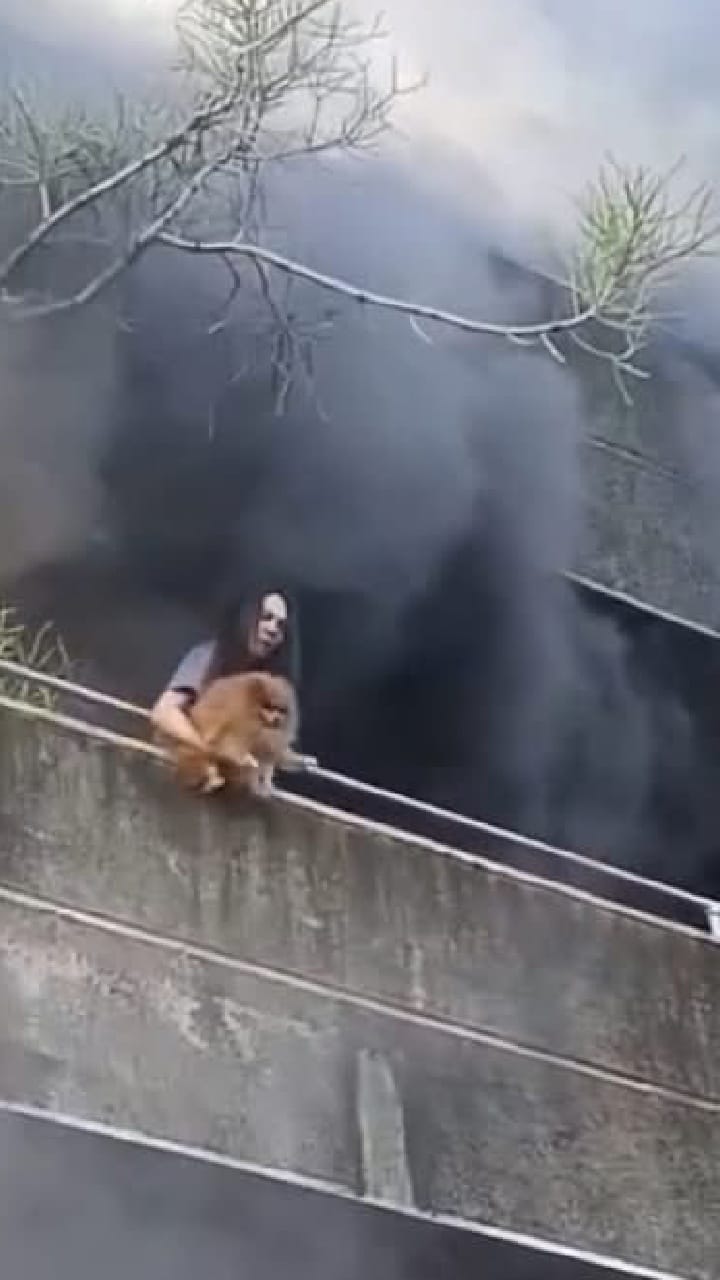 ಪ್ರಾಣವನ್ನೂ ಲೆಕ್ಕಿಸದೆ ಬೆಂಕಿಯಿಂದ ನಾಯಿಮರಿಗಳನ್ನು ಕಾಪಾಡಿದ ಮಹಿಳೆ