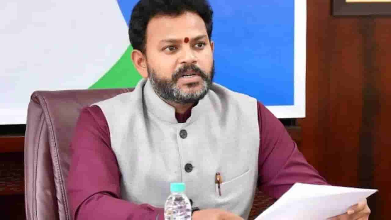 ಭಾರತಕ್ಕೆ ಐದಾರು ದೊಡ್ಡ ವಿಮಾನಯಾನ ಸಂಸ್ಥೆಗಳ ಅಗತ್ಯವಿದೆ: ಸಚಿವ ರಾಮ್ಮೋಹನ್ ನಾಯ್ಡು