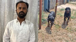 ಮಹಿಳೆಯನ್ನ ಕೊಂದಿದ್ದ ರಾಟ್​​​​ವೀಲರ್​​ ನಾಯಿಗಳೂ ಸಾವು: ಶ್ವಾನದ ಮಾಲೀಕ ಅರೆಸ್ಟ್