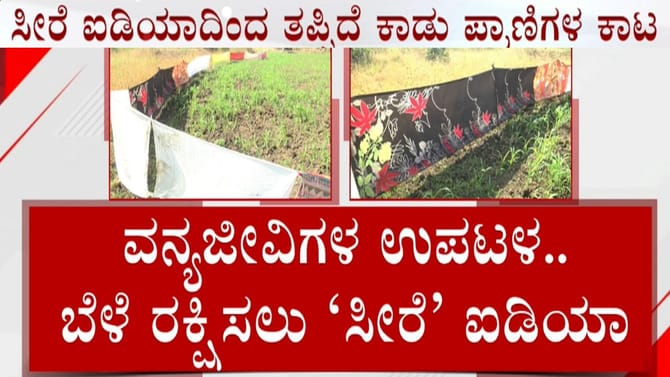 ವನ್ಯ ಪ್ರಾಣಿಗಳಿಂದ ಬೆಳೆ ರಕ್ಷಣೆಗೆ ‘ಸೀರೆ’ ಐಡಿಯಾ!