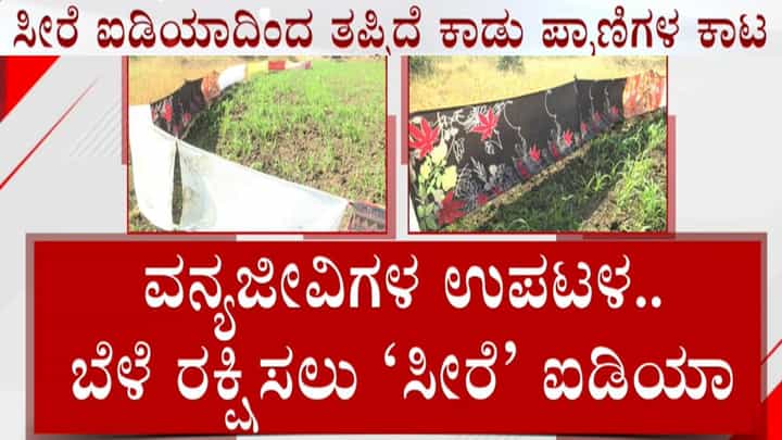 ವನ್ಯ ಪ್ರಾಣಿಗಳಿಂದ ಬೆಳೆ ರಕ್ಷಣೆಗೆ ‘ಸೀರೆ’ ಐಡಿಯಾ! ಬೀದರ್ ರೈತರ ವಿನೂತನ ಯತ್ನಕ್ಕೆ ಸಿಕ್ಕಿದೆ ಯಶಸ್ಸು ವನ್ಯ ಪ್ರಾಣಿಗಳಿಂದ ಬೆಳೆ ರಕ್ಷಣೆಗೆ ‘ಸೀರೆ’ ಐಡಿಯಾ! ಬೀದರ್ ರೈತರ ವಿನೂತನ ಯತ್ನಕ್ಕೆ ಸಿಕ್ಕಿದೆ ಯಶಸ್ಸು