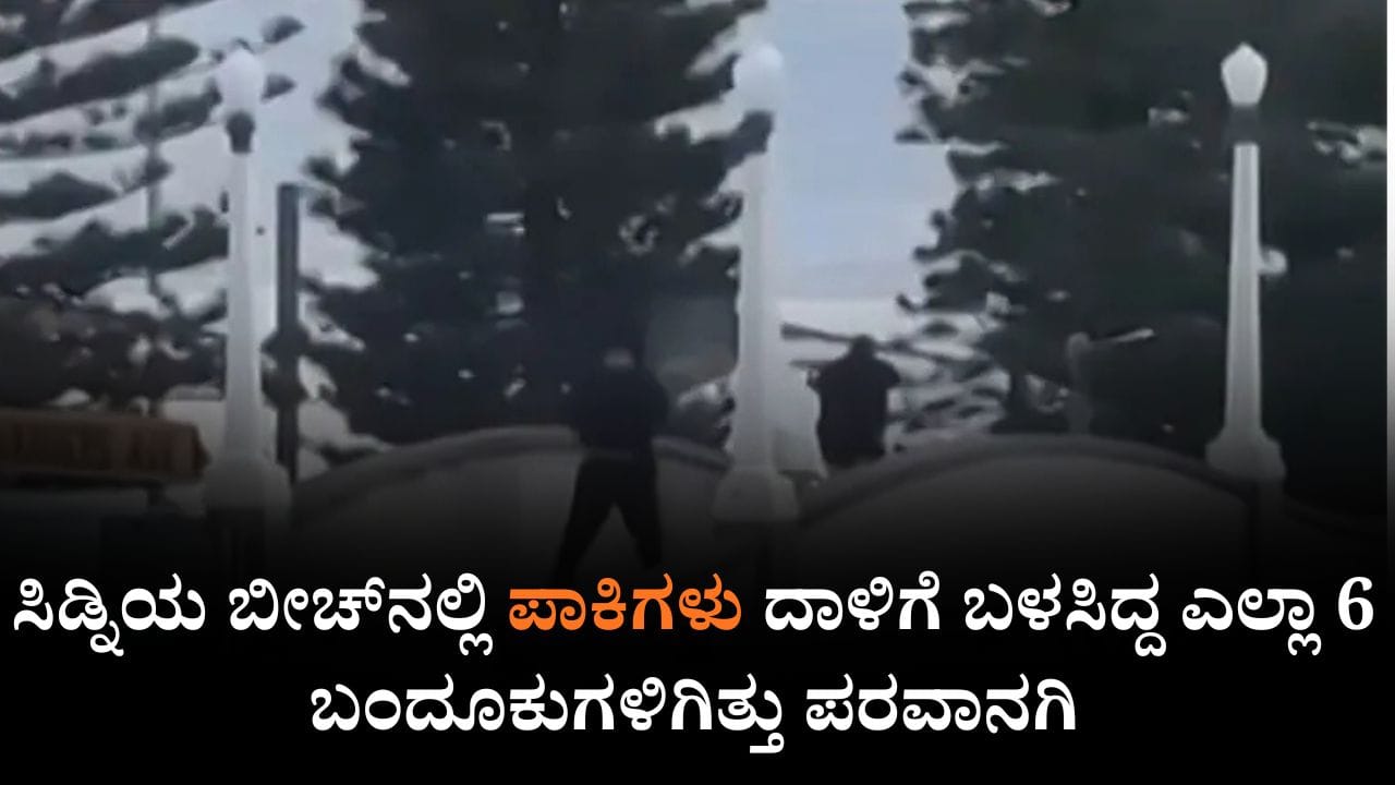ಸಿಡ್ನಿಯ ಬೀಚ್ನಲ್ಲಿ ಪಾಕಿಗಳು ದಾಳಿಗೆ ಬಳಸಿದ್ದ ಎಲ್ಲಾ 6 ಬಂದೂಕುಗಳಿಗಿತ್ತು ಪರವಾನಗಿ ಸಿಡ್ನಿಯ ಬೀಚ್ನಲ್ಲಿ ಪಾಕಿಗಳು ದಾಳಿಗೆ ಬಳಸಿದ್ದ ಎಲ್ಲಾ 6 ಬಂದೂಕುಗಳಿಗಿತ್ತು ಪರವಾನಗಿ