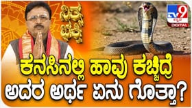 ಹಾವು ಕಚ್ಚಿದ್ದಂತೆ ಕನಸು ಬಿದ್ದರೆ ಏನರ್ಥ? ಜ್ಯೋತಿಷ್ಯ ಸಲಹೆ ಇಲ್ಲಿದೆ