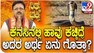 Swapna Shastra: ಹಾವು ಕಚ್ಚಿದಂತೆ  ಕನಸು ಬಿದ್ದರೆ ಏನರ್ಥ? ಜ್ಯೋತಿಷ್ಯ ಸಲಹೆ ಇಲ್ಲಿದೆ