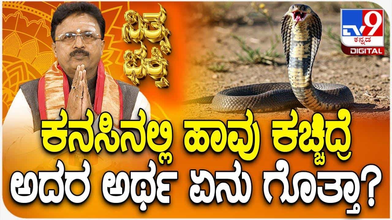 Swapna Shastra: ಹಾವು ಕಚ್ಚಿದಂತೆ ಕನಸು ಬಿದ್ದರೆ ಏನರ್ಥ? ಜ್ಯೋತಿಷ್ಯ ಸಲಹೆ ಇಲ್ಲಿದೆ Swapna Shastra: ಹಾವು ಕಚ್ಚಿದಂತೆ ಕನಸು ಬಿದ್ದರೆ ಏನರ್ಥ? ಜ್ಯೋತಿಷ್ಯ ಸಲಹೆ ಇಲ್ಲಿದೆ