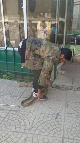 ವಿಧಾನಸೌಧಕ್ಕೆ ಬಂದ ಹಾವು: ಪೇದೆ ಕಂಗಾಲು