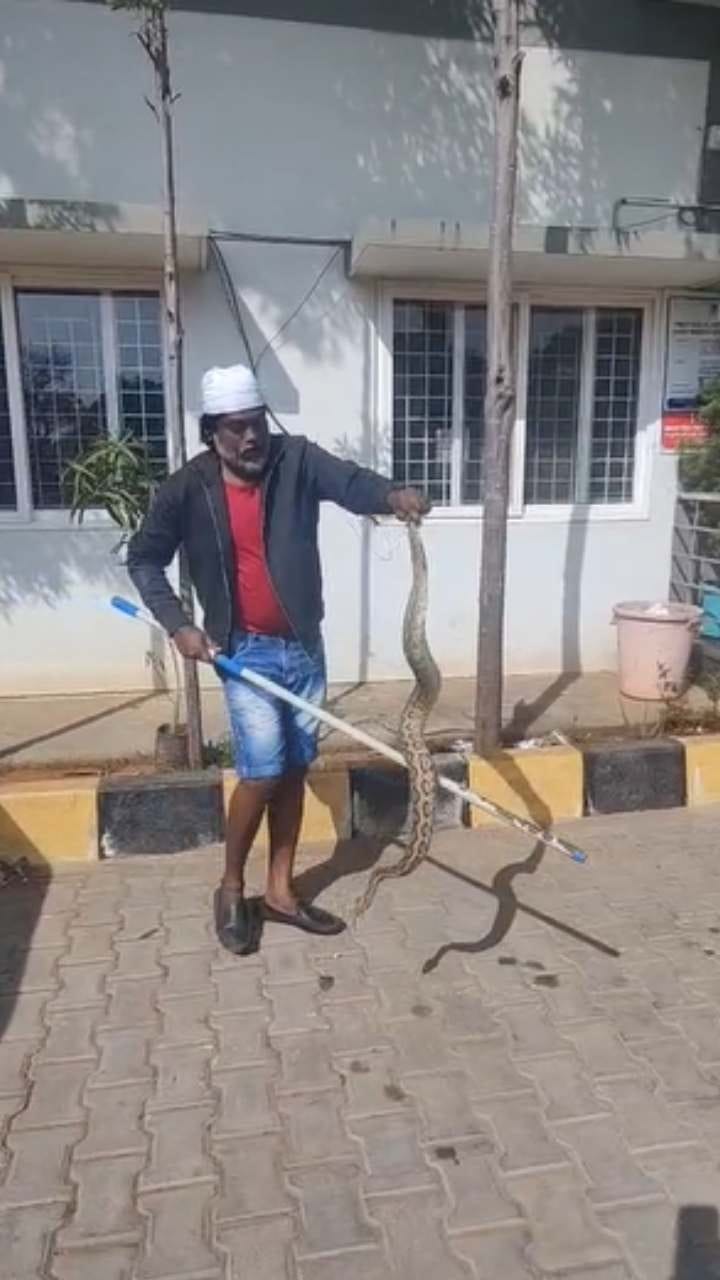 ದೂರು ಕೊಡಲು ಠಾಣೆಗೆ ಬಂದ ಹಾವುಗಳು