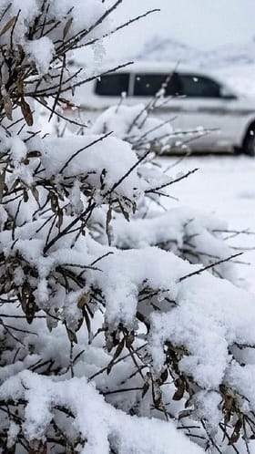 30 ವರ್ಷದ ಬಳಿಕ ಸೌದಿಯ ಮರುಭೂಮಿಯಲ್ಲೂ ಹಿಮಪಾತ!