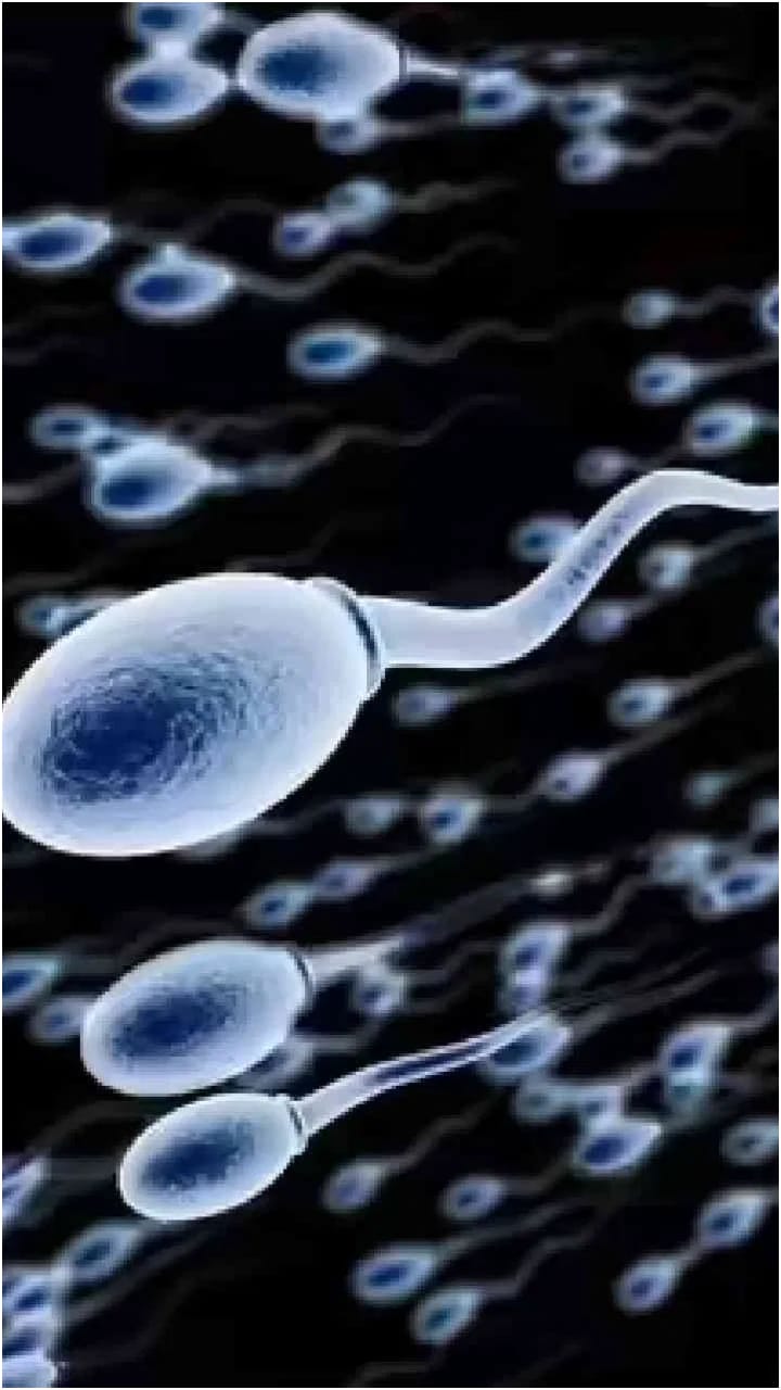 ಸಂಪೂರ್ಣ ವೀರ್ಯ ಇಲ್ಲದ ಸ್ಥಿತಿ ಪುರುಷರಲ್ಲಿ ಸಮಾನ್ಯವೇ?