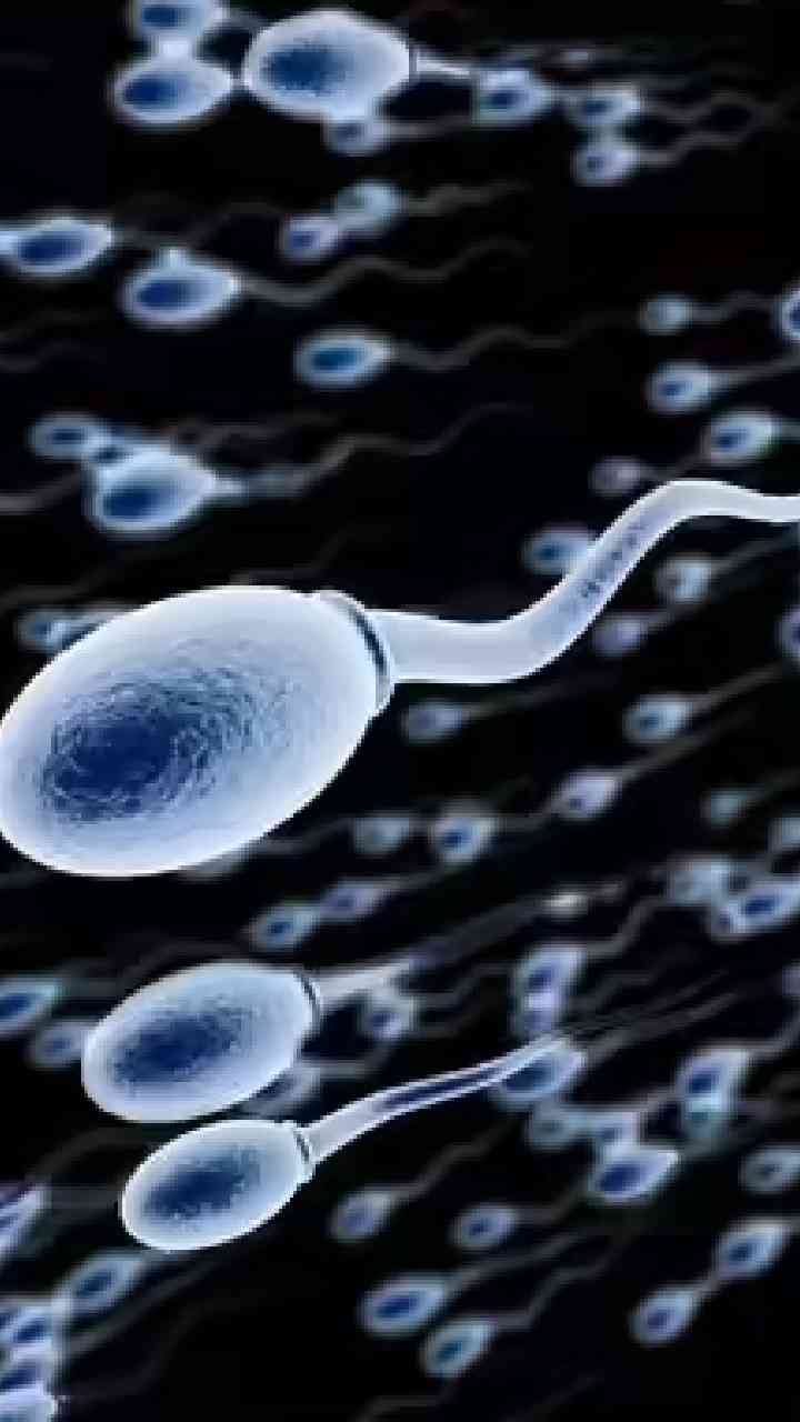 ವೀರ್ಯಾಣು ಕಡಿಮೆ ಇದ್ರೆ ಮಕ್ಕಳಾಗಲ್ವಾ?