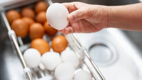 ಮೊಟ್ಟೆ ಕೊಳೆತಿದೆಯೇ, ಇಲ್ಲವೇ ಎಂಬುದನ್ನು ಈ ರೀತಿ ಚೆಕ್‌ ಮಾಡಿ‌