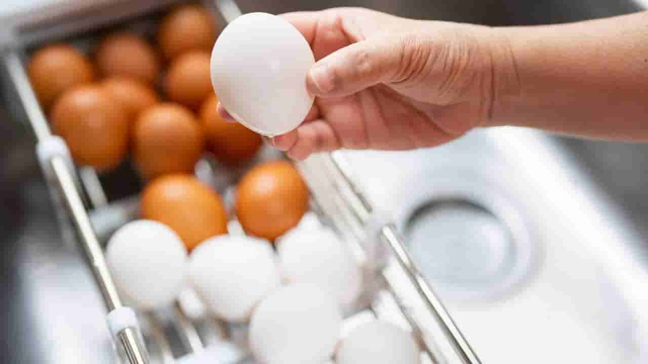 ಮೊಟ್ಟೆ ಕೆಟ್ಟು ಹೋಗಿದೆಯೋ ಎಂಬುದನ್ನು ಈ ಸರಳ ವಿಧಾನದ ಮೂಲಕ ಕಂಡು ಹಿಡಿಯಬಹುದು