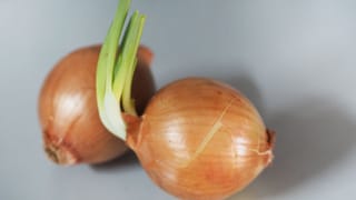 ಮೊಳಕೆಯೊಡೆದ ಈರುಳ್ಳಿಯನ್ನು ಎಸೆಯುತ್ತಿದ್ದೀರಾ? ಈ ತಪ್ಪನ್ನು ಎಂದಿಗೂ ಮಾಡಬೇಡಿ