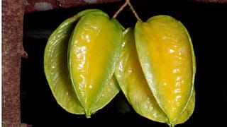 ಯಾವತ್ತಿಗೂ ಕೂದಲಿಗೆ ಎಣ್ಣೆ ಹಚ್ಚುವಾಗ ಈ ತಪ್ಪುಗಳನ್ನು ಮಾಡಬೇಡಿ