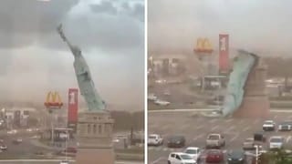 ಬನ್ನೇರುಘಟ್ಟ ಝೂಗೆ ದಕ್ಷಿಣ ಆಫ್ರಿಕಾದ ಕೋತಿಗಳ ಎಂಟ್ರಿ!