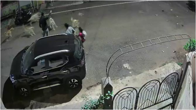 ಏಕಾಏಕಿ ಮುಗಿಬಿದ್ದ ಬೀದಿ ನಾಯಿಗಳಿಂದ ದಂಪತಿ, ಮಗು ಕೂದಲೆಳೆ ಅಂತರದಲ್ಲಿ ಪಾರು