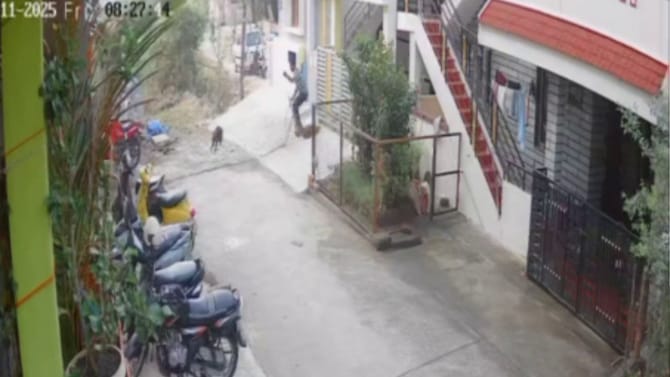 ಬೀದಿ ನಾಯಿಯ ಹಿಡಿದು ಅಮಾನುಷವಾಗಿ ಕೊಲೆ, ಭೀಕರ ದೃಶ್ಯ ಸಿಸಿಟಿವಿಲಿ ಸೆರೆ