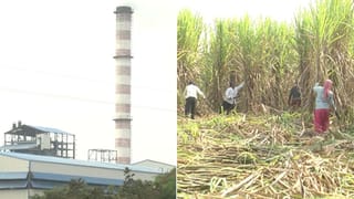 ಕಬ್ಬಿನ ಹಣ ನೀಡಿದೇ ಕಾರ್ಖಾನೆ ಮಾಲೀಕರ ಕಳ್ಳಾಟ: ರೈತರ ಬೆನ್ನಿಗೆ ನಿಂತ ಡಿಸಿ