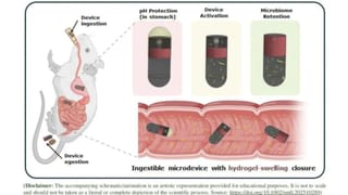 ರಾತ್ರಿ ಮಲಗುವ ಮುನ್ನ ಒಂದು ಲವಂಗ ಸೇವನೆ ಮಾಡಿದ್ರೆ ಏನಾಗುತ್ತೆ ನೋಡಿ!